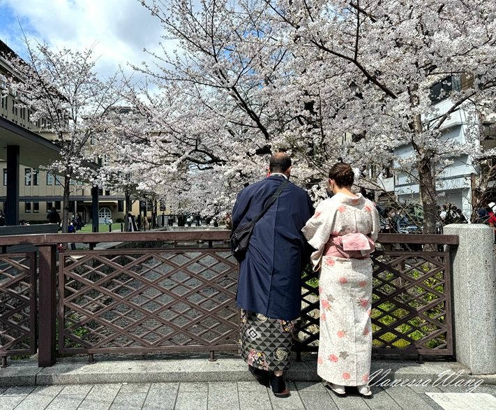 2025京都賞櫻~高瀨川.祇園