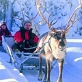 Ride a sleigh.jpg