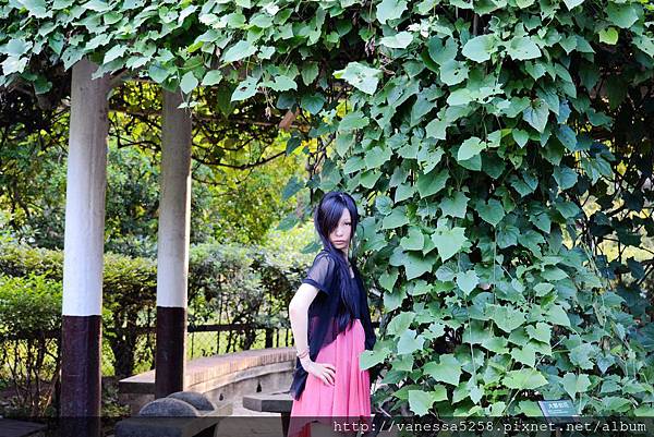 20130813植物園外拍