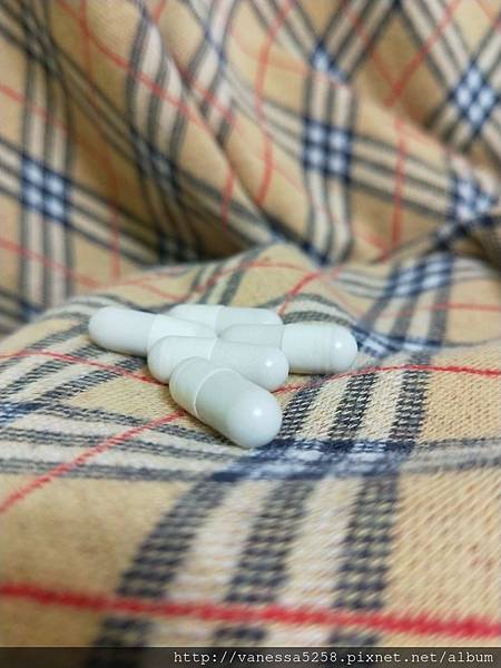 女人知己,女人知己試用大隊,試用大隊,美國GMPVitas魔力波波丸,美國GMPVitas,GMPVitas,魔力波波丸,波波丸