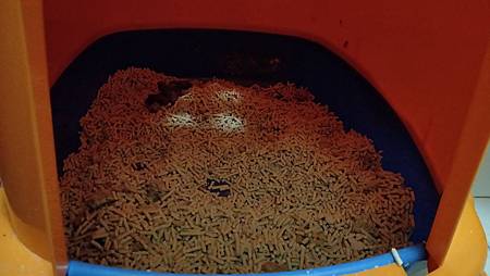 IMG20181020022230PurreLand倍淨豆腐貓砂 試用