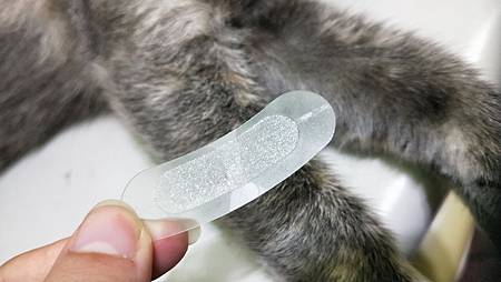 IMG20181027022121凱拉帝卡 I’M FILL PATCH 玻尿酸微臻完美護理貼 試用