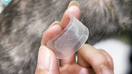 IMG20181027022333凱拉帝卡 I’M FILL PATCH 玻尿酸微臻完美護理貼 試用