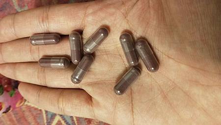 IMG20181230193344.jpg 試用