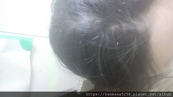 IMG20190205032723pfle泡沫洗髮精 試用