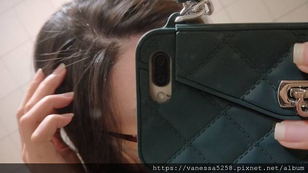 IMG20190205032800pfle泡沫洗髮精 試用