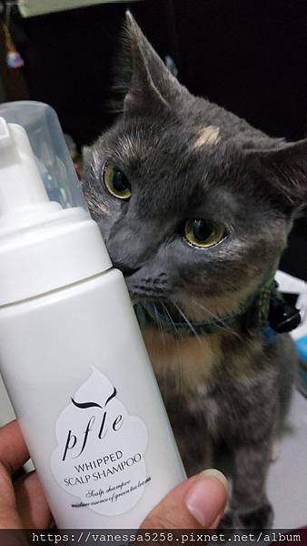 IMG20190207193016pfle泡沫洗髮精 試用