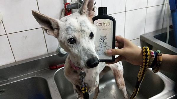 IMG20190619170319SOINS絲旺洗毛精 試用