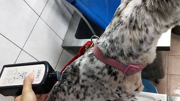 IMG20190619171016SOINS絲旺洗毛精 試用