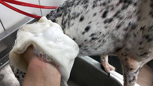 IMG20190619171132SOINS絲旺洗毛精 試用