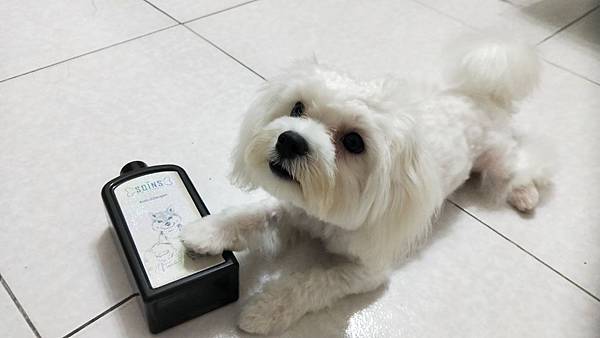 IMG20190625220123SOINS絲旺洗毛精 試用