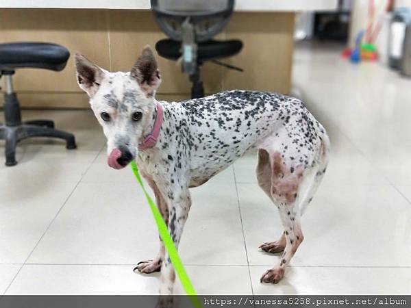 IMG20190607152607.jpg 試用