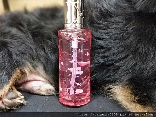 IMG20190920180116AMOY STAR母星花瓣凍凝精露