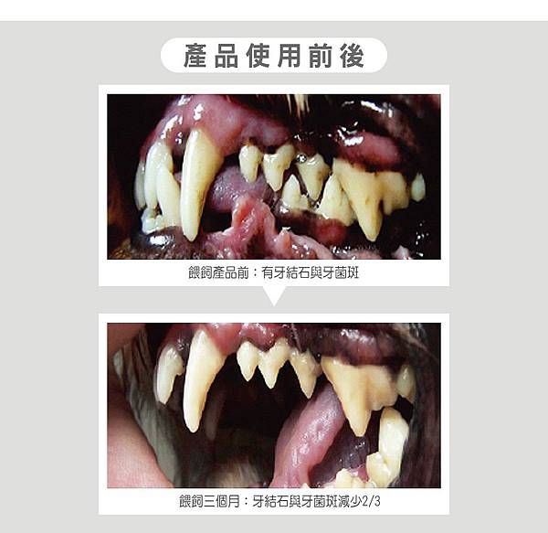 EDM_05DAN丹成老犬口腔+骨骼配方 牛肉鮪魚番茄口味