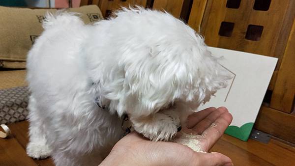 IMG20191212184758愛可納犬用保健食品 試用