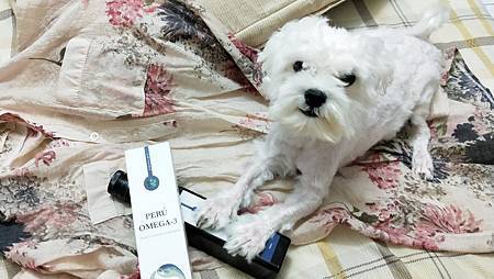 IMG20200801193412愛寶Perú黃金魚油+ 試用