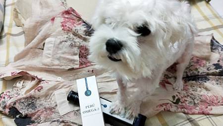 IMG20200801193408愛寶Perú黃金魚油+ 試用