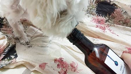 IMG20200801193621愛寶Perú黃金魚油+ 試用