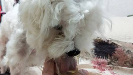 IMG20200801193737愛寶Perú黃金魚油+ 試用