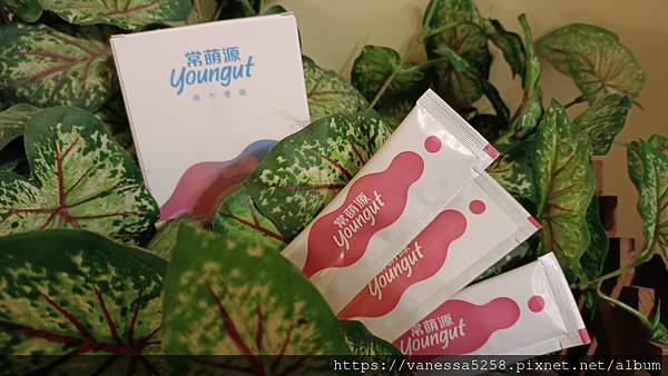 IMG_20211020_221036Metanutri 常萌源 試用