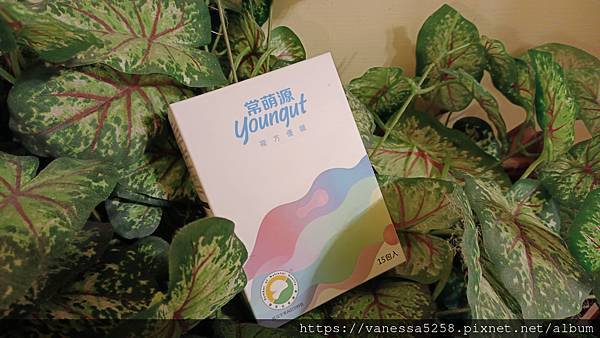 IMG_20211020_220847Metanutri 常萌源 試用