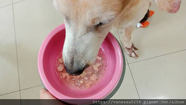 IMG_20211029_112333維齊 Vi.Chi 蒸爽機腿犬餐罐 80g 試用