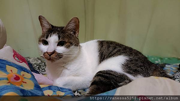 IMG_20221016_232926.jpg 試用