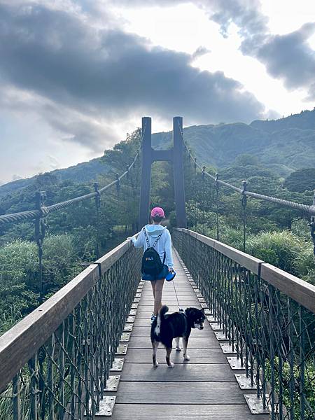 冷水坑➡️冷冷擎步道➡️擎天崗一日遊