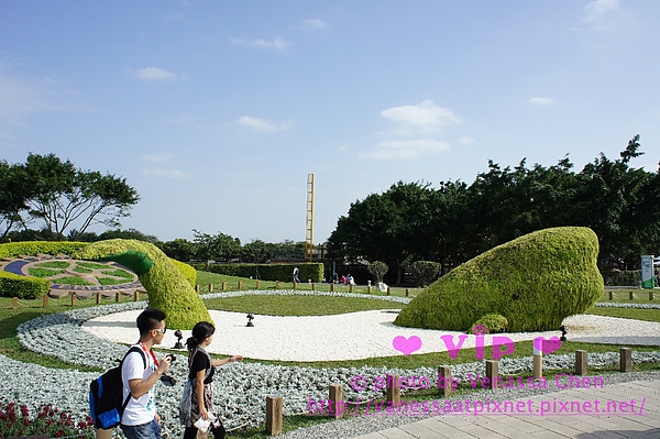 林下花圃花海區