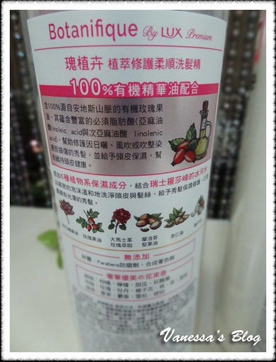 DSC09321_nEO_IMG DSC09321_nEO_IMG