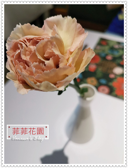 【Vanessa美食饗宴】台中西屯 | 菲菲花園‧義式餐廳。