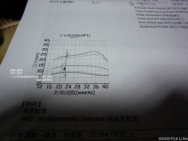 報告-5.jpg