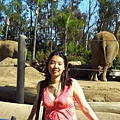 Elephant and I