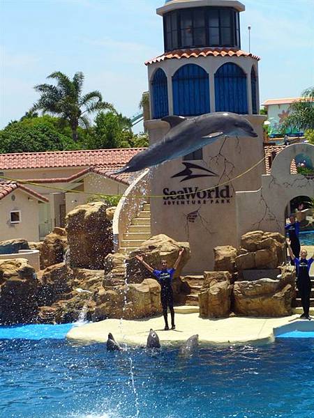 Sea world 3