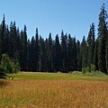 Crescent Meadow 1