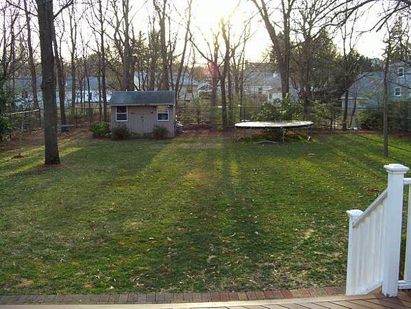 back yard 2