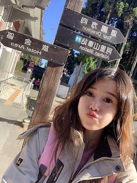 《嘉義阿里山日出 小火車 奮起湖》兩天一夜 凡妮莎旅遊日記