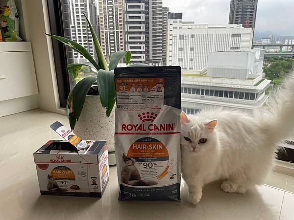 ROYAL CANIN法國皇家亮毛護膚HS33貓飼料推薦開箱