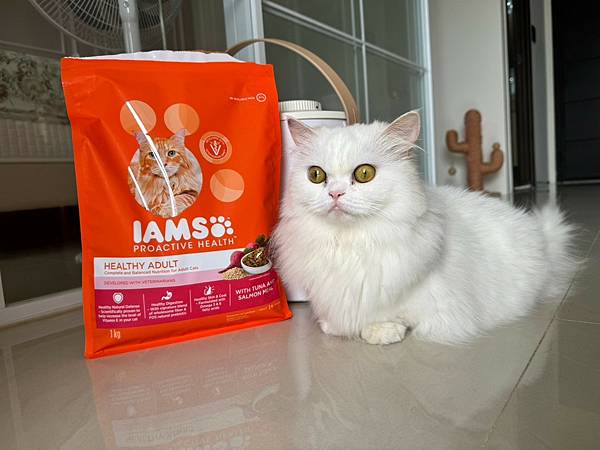 【IAMS™愛慕思™健康優活系列 成貓營養配方】小扶蝶愛吃的