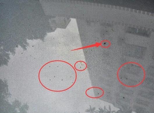 30494a6b66374b496643.jpg 30494a6b66374b496643.jpg