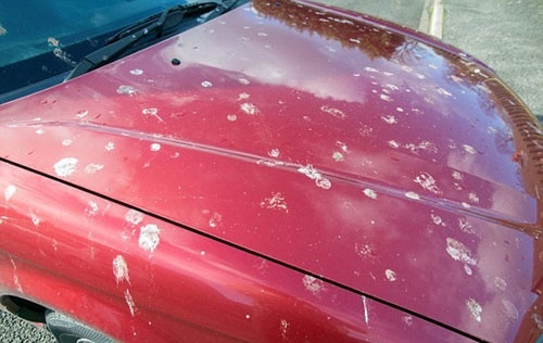 3043724b51623031.jpg 3043724b51623031.jpg