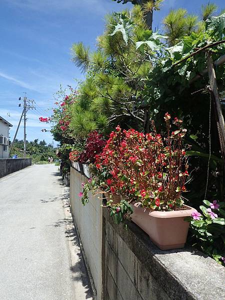 20140622渡嘉敷島(防水相機) - 0948.jpg