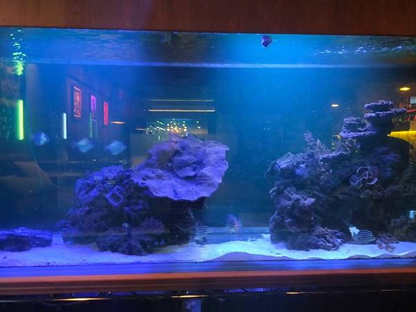 台北美食推-【AQUA Lounge酒吧】-串意美食/