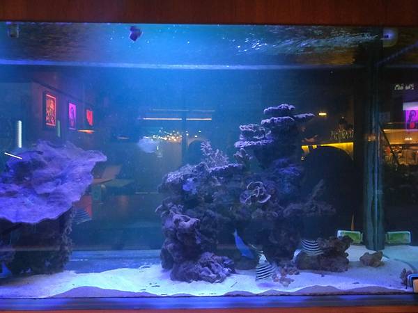 台北美食推-【AQUA Lounge酒吧】-串意美食/