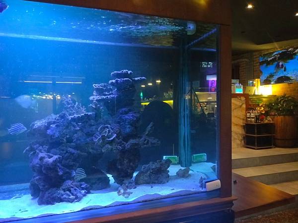 台北美食推-【AQUA Lounge酒吧】-串意美食/