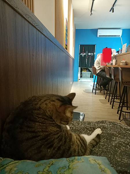 【永和溪居酒屋】南店酒居-意酒料理/提供白/可店