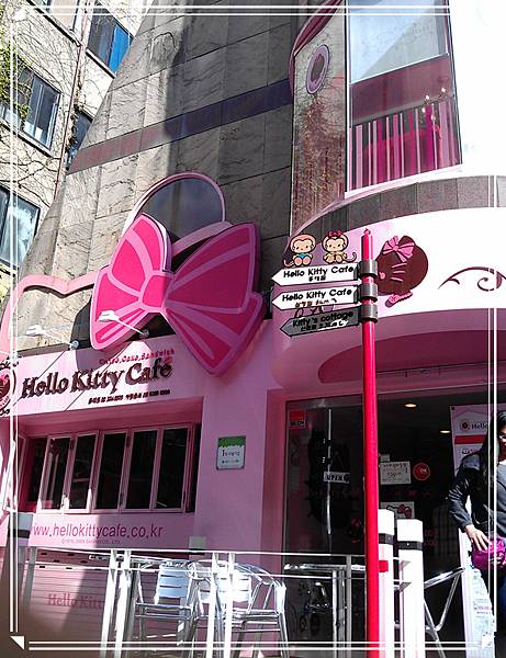 kitty cafe