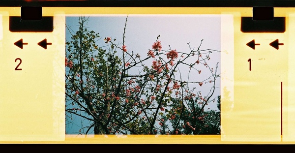 W00001-0101.jpg W00001-0101.jpg