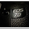 30572407:新相機 CANON EOS 7D