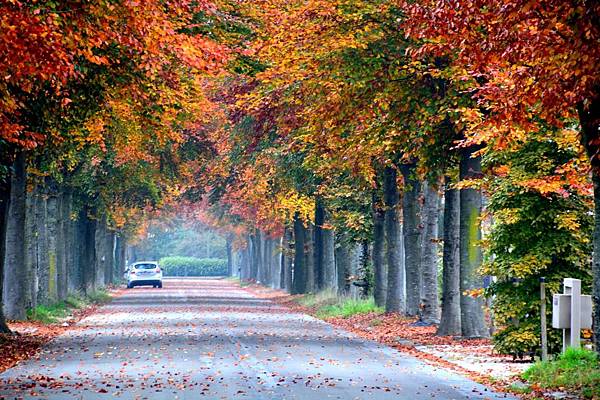 DSC_6678-1.JPG DSC_6678-1.JPG